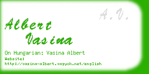 albert vasina business card